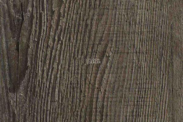Виниловая плитка ПВХ Vertigo Trend / Wood 2124 RUSTIC OLD PINE 152.4 мм X 914.4 мм фото 1 | FLOORDEALER